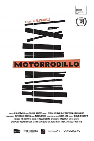 Motorrodillo