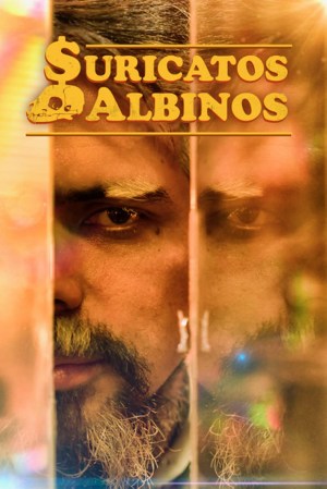 Suricatos Albinos