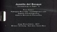 Juanito del Bosque