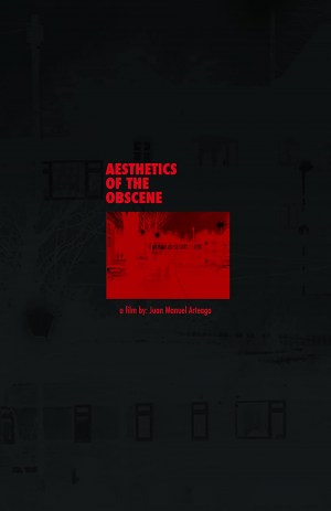 Aesthetics of the Obscene