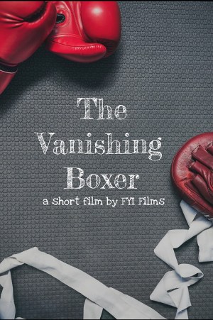 The Vanishing Boxer
