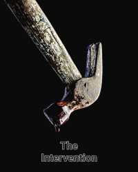 The Intervention