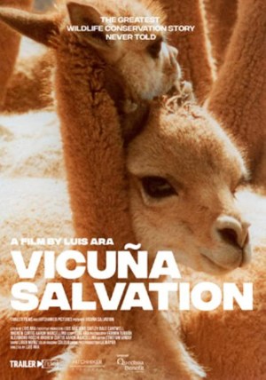Vicuna Salvation