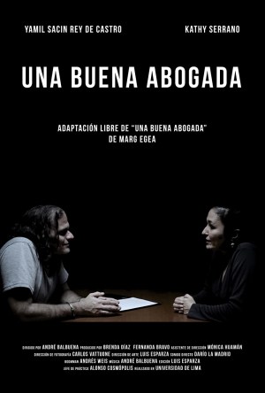 Una Buena Abogada