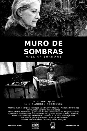 Muro de sombras