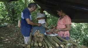 Los Médicos de la montaña