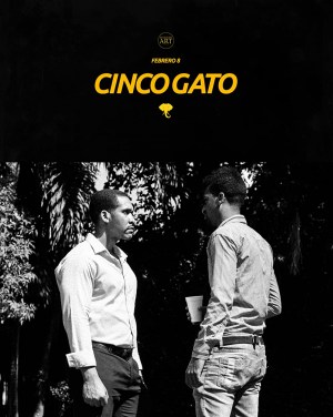 Cinco Gato
