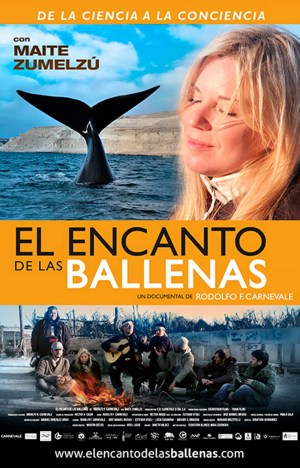 El encanto de las ballenas