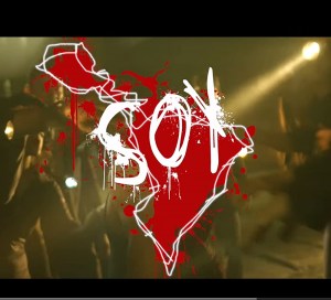 Soy