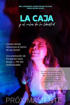 La caja y el valor de la libertad