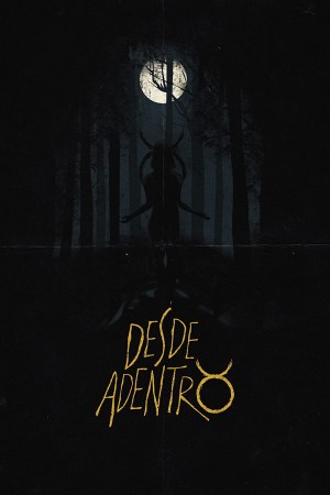 Desde Adentro