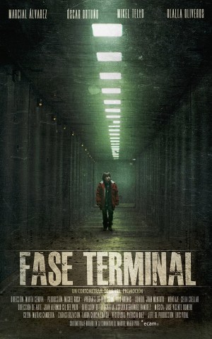 Fase terminal