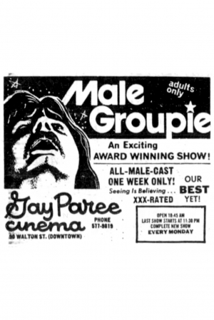Confessions of a Male Groupie
