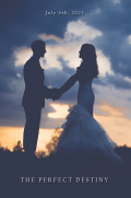 Película The Perfect Destiny