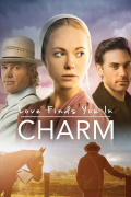 Película Love Finds You in Charm