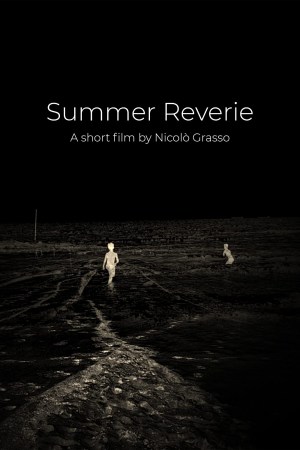 Summer Reverie