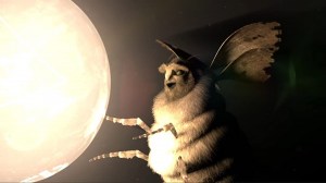 Bogan Moths