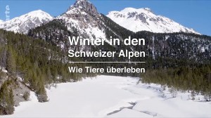 Winter in den Schweizer Alpen