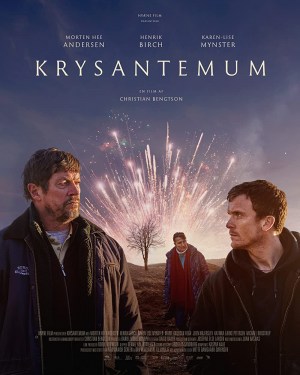 Krysantemum Krysantemum
