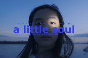 A Little Soul A Little Soul