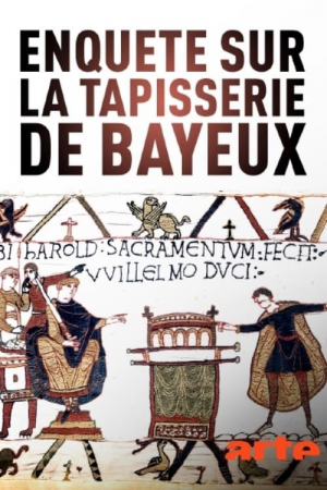 Der Teppich von Bayeux: Ein gestickter Mythos Der Teppich von Bayeux: Ein gestickter Mythos