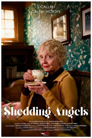 Shedding Angels Shedding Angels