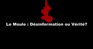Le Moule - Désinformation ou vérité?