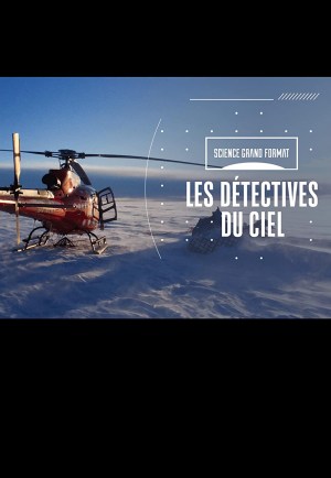 Sky Detectives