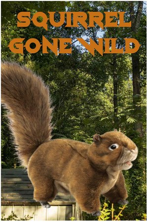 Squirrel Gone Wild