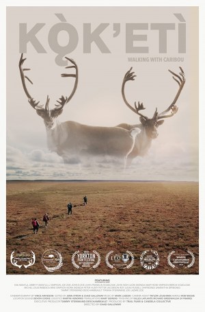 Kok'eti - Walking with Caribou
