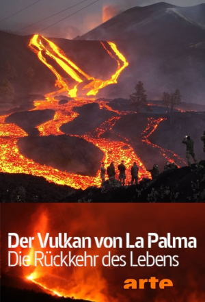 Der Vulkan von La Palma: Die Rückkehr des Lebens