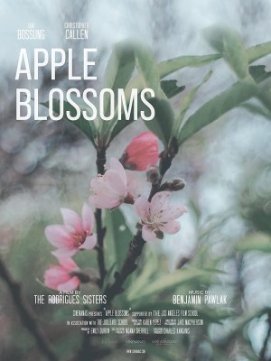 Apple Blossoms