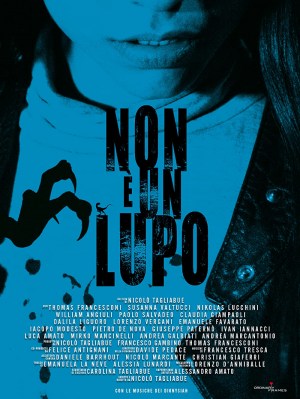 Non è un lupo