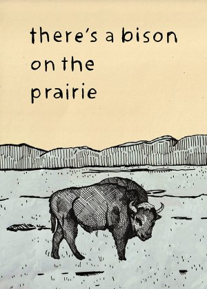There's a Bison on the Prairie