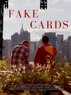Fake Cards