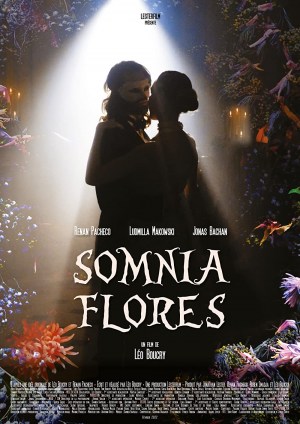 Somnia Flores