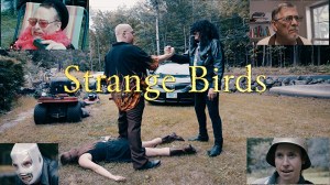 Strange Birds