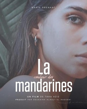 The Color of Mandarines