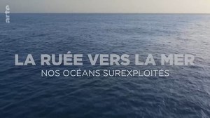 Die Gier nach Meer: Wie der Mensch die Ozeane ausbeutet
