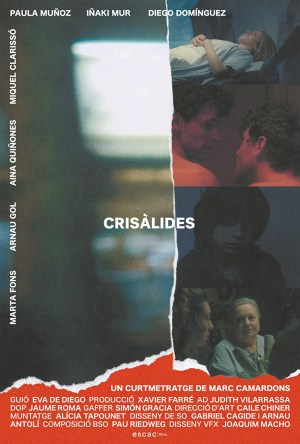 Crisàlides Crisàlides