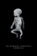 Película De Humani Corporis Fabrica