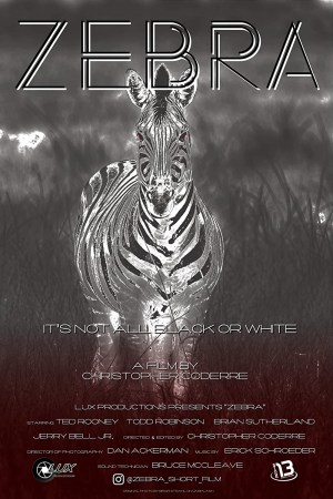 Zebra Zebra