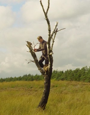 Door de bomen