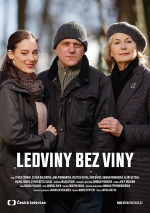 Ledviny bez viny Ledviny bez viny