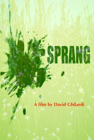 Sprang
