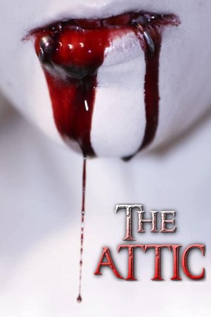 The Attic