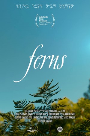 Ferns