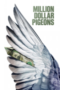 Película Million Dollar Pigeons
