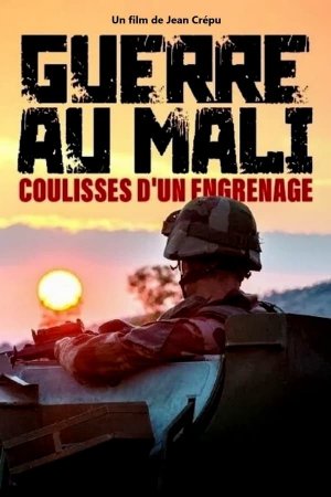 Guerre au Mali, coulisses d'un engrenage