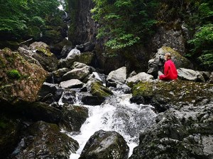 Earthing June